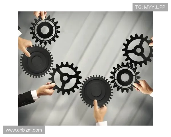 南京排球队的阵地战揭秘：深度解析战术与团队协作的完美结合