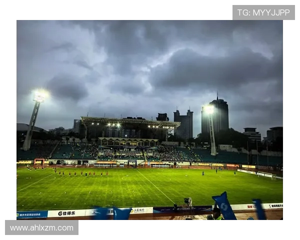 南京足球队实力强劲最新个人能力TOP10榜单揭晓